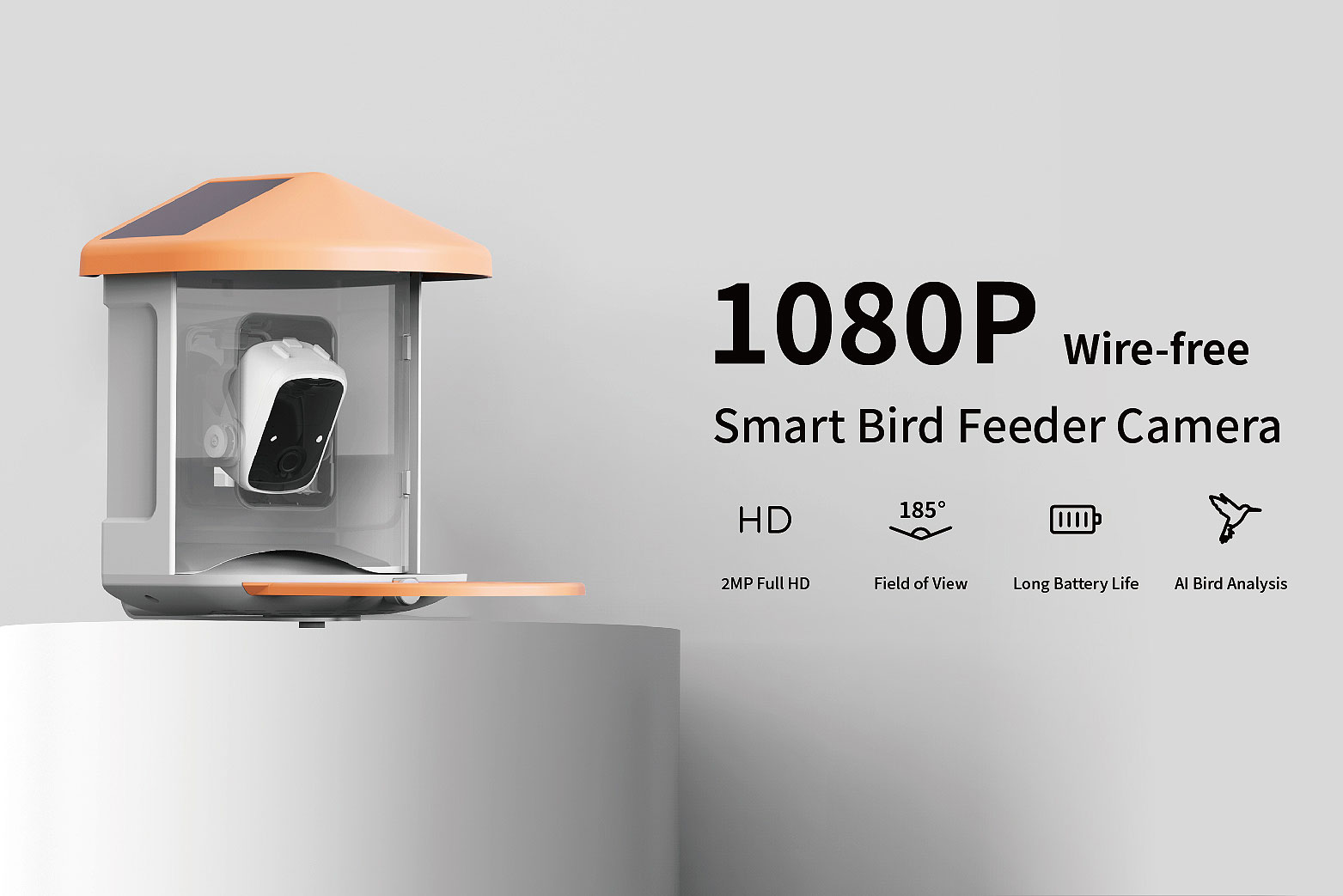 1705401938206266.jpg 1705401938206266.jpg